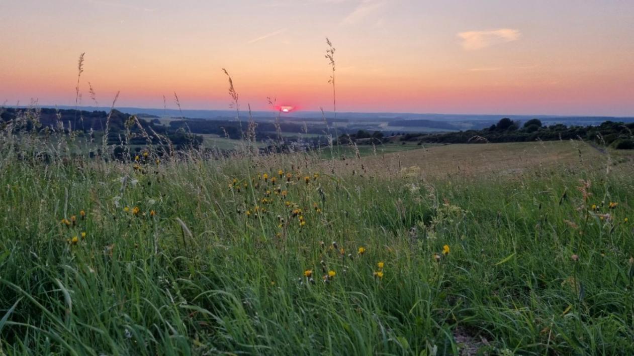 Ferienwohnung Eifelweh - Lieblingszeit Berndorf  Zewnętrze zdjęcie